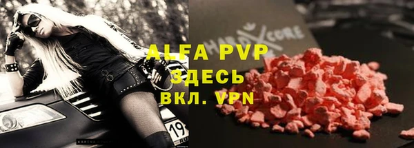 таблы Бородино