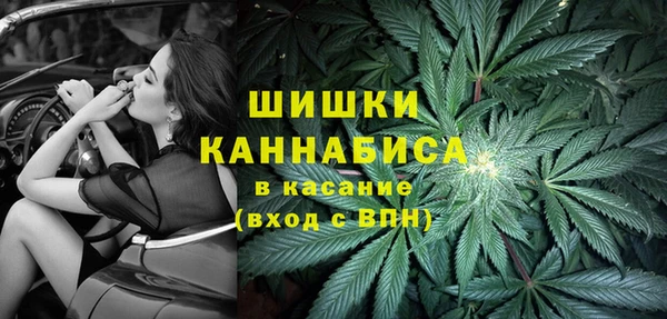 spice Бугульма