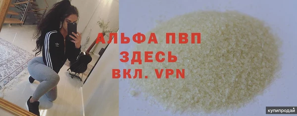таблы Бородино