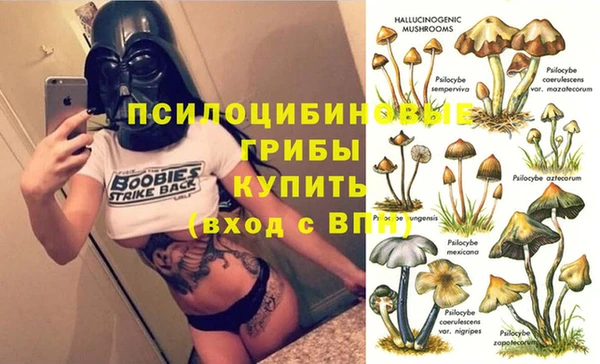spice Бугульма