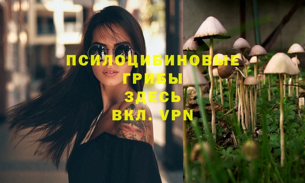 spice Бугульма