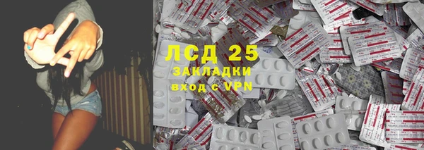 таблы Бородино