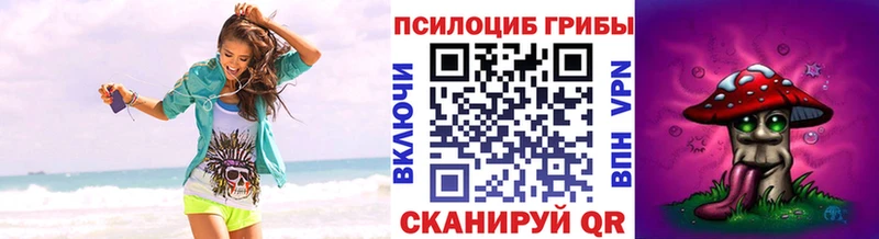 как найти наркотики  Зима  Галлюциногенные грибы мицелий 