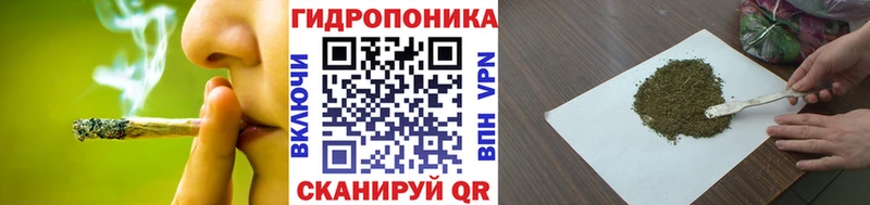 Шишки марихуана AK-47 Зима